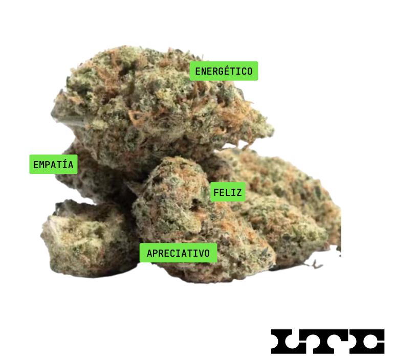 Sour Patch