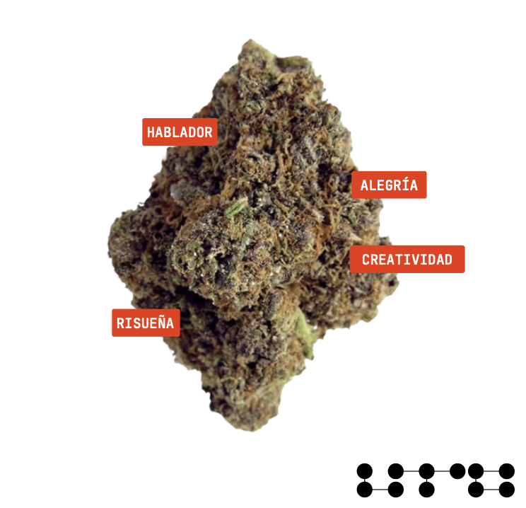 Alien Cookies