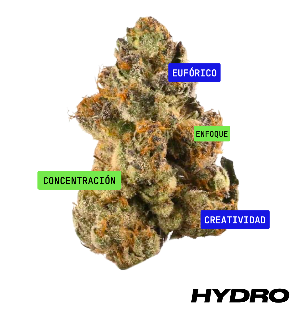 TANGERINE DREAM - HYDRO