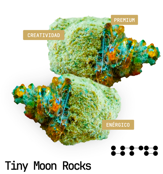 TINY MOONS ROCKS