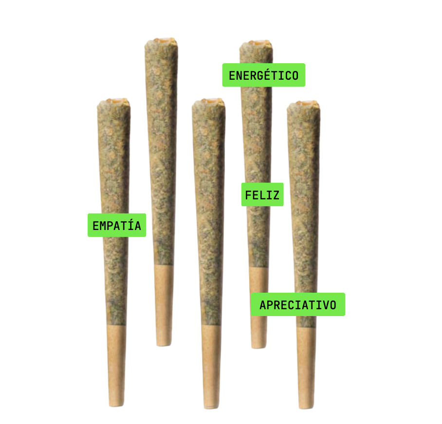 5 Prerolls - INDOOR PREMIUM