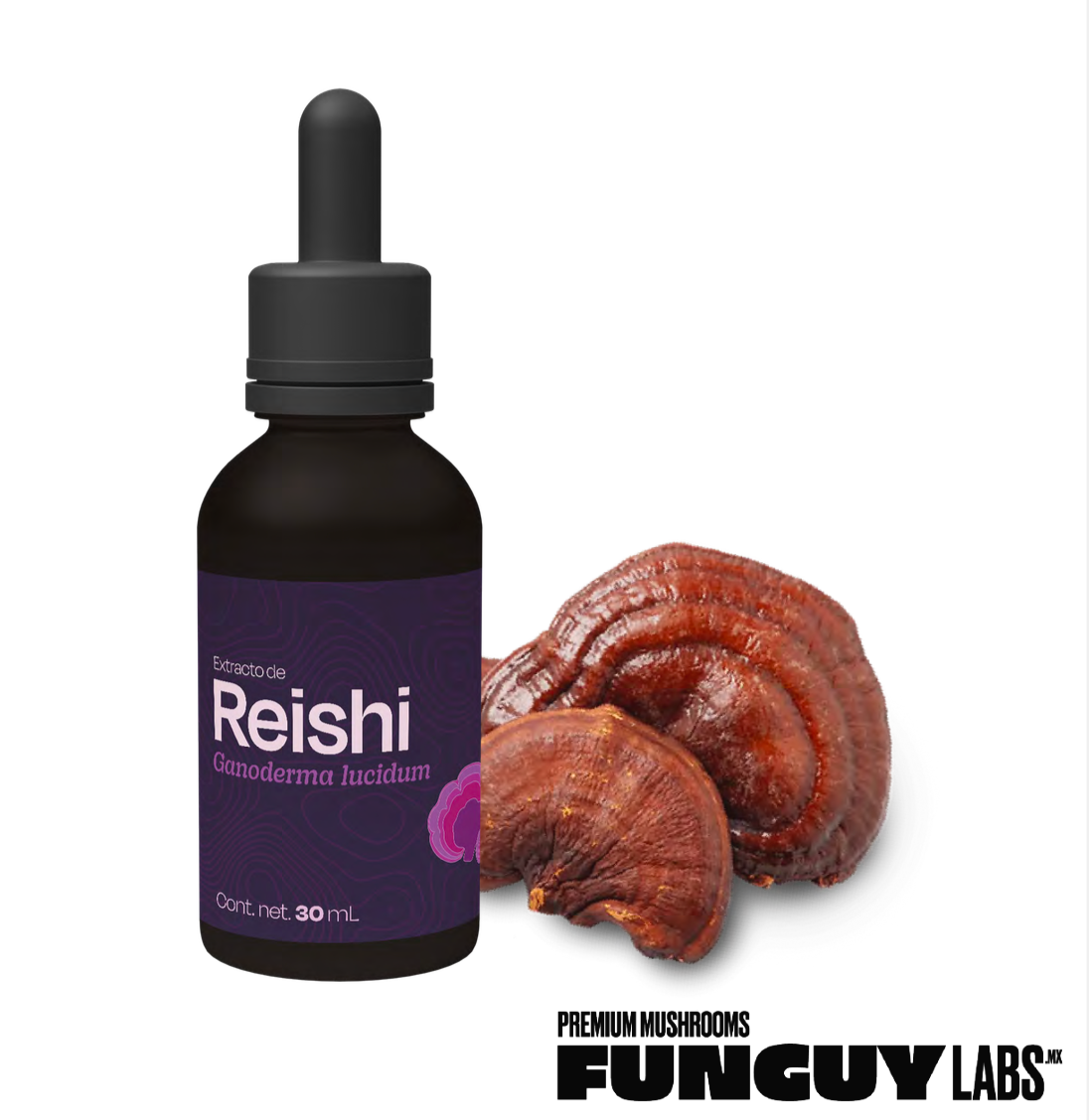 Reishi
