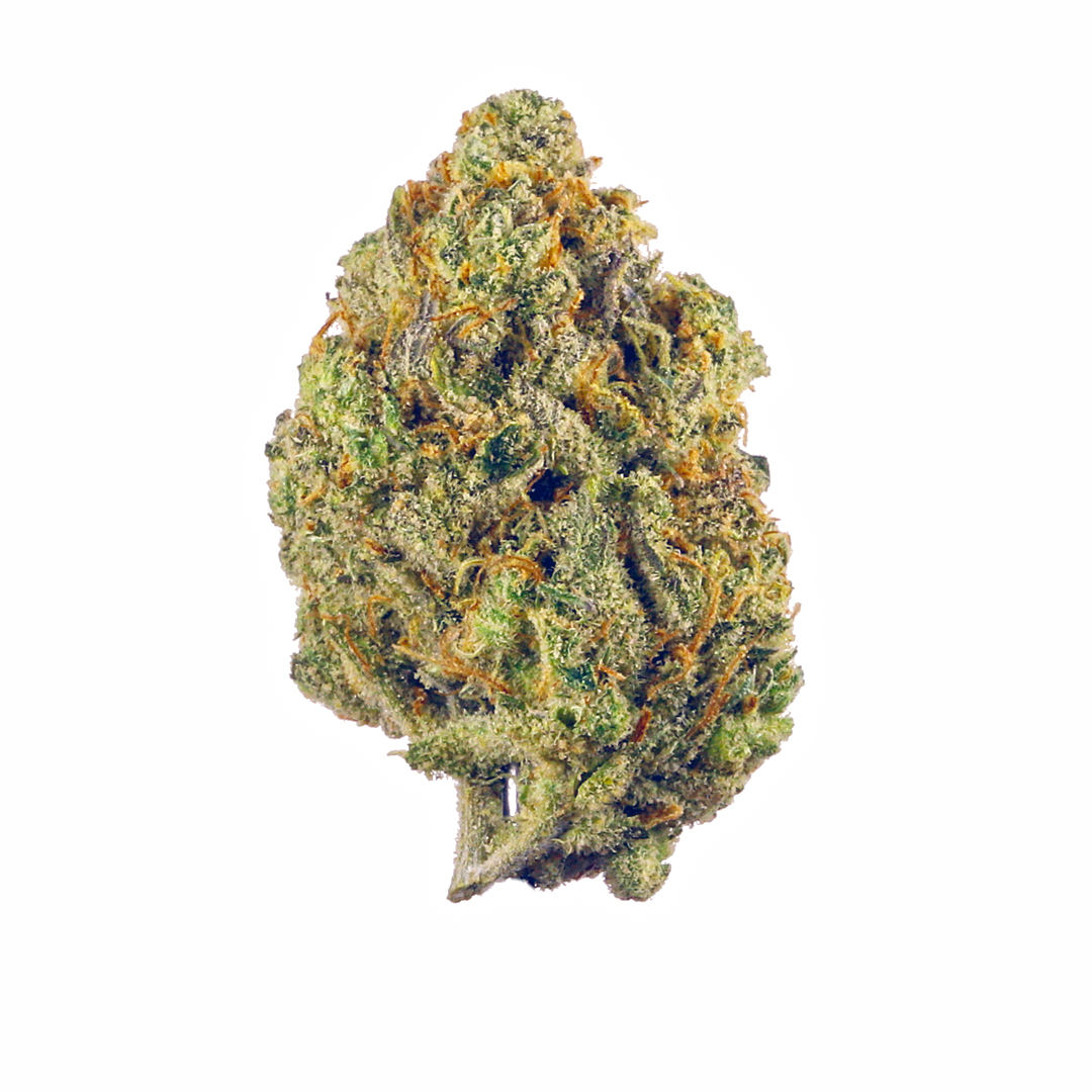 PAPAYA PUNCH