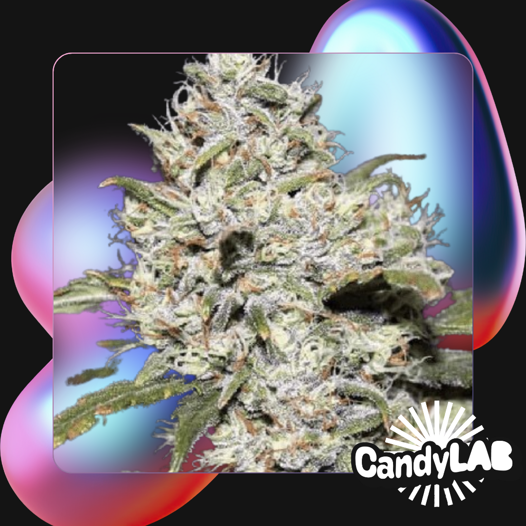 1/2 LB de Flor Hydro Cultivada en Agua