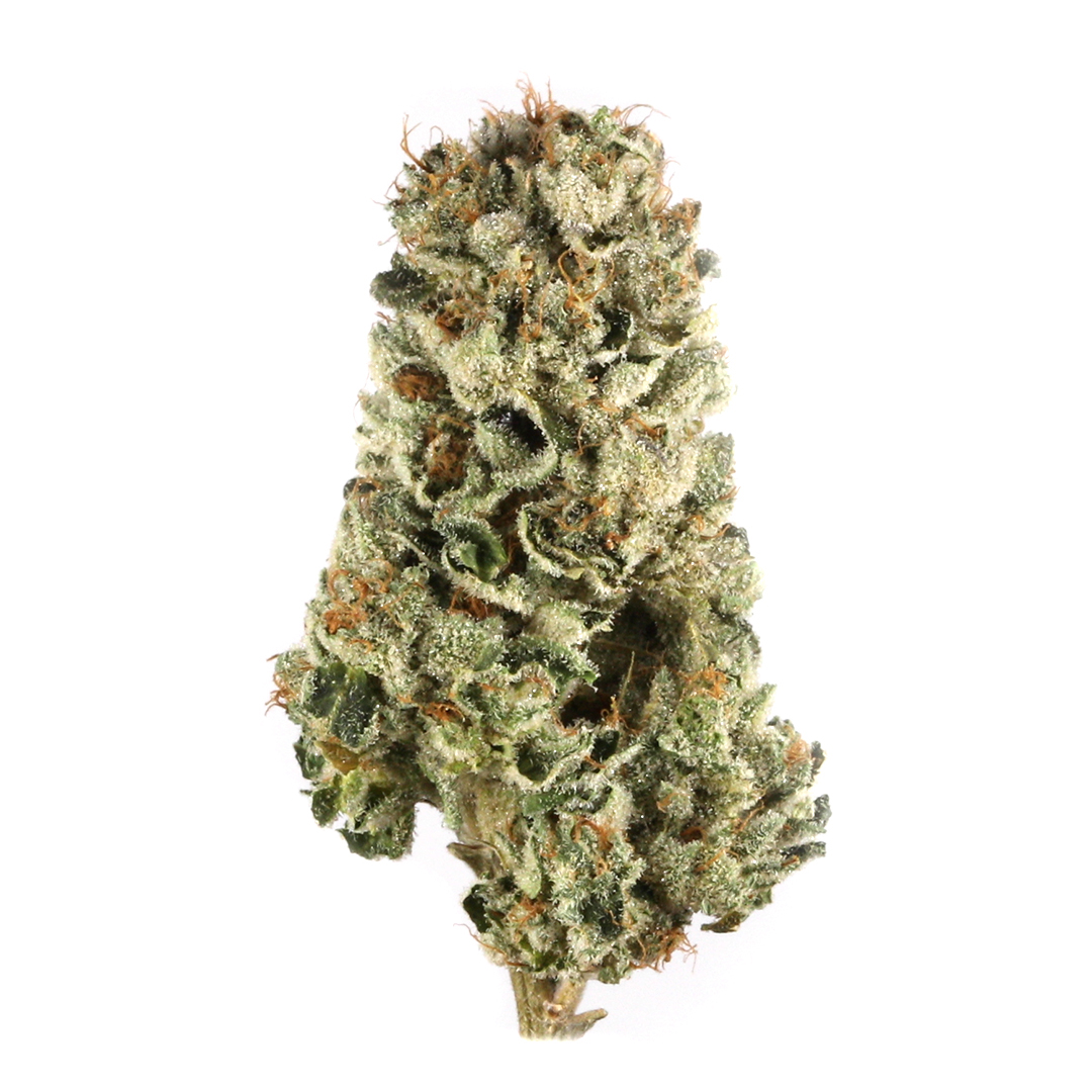 WALTER WHITE