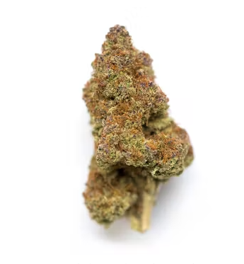 PURPLE DIESEL - INDOOR