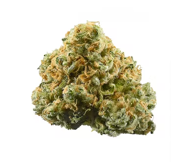 PINNEAPLE EXPRESS - INDOOR