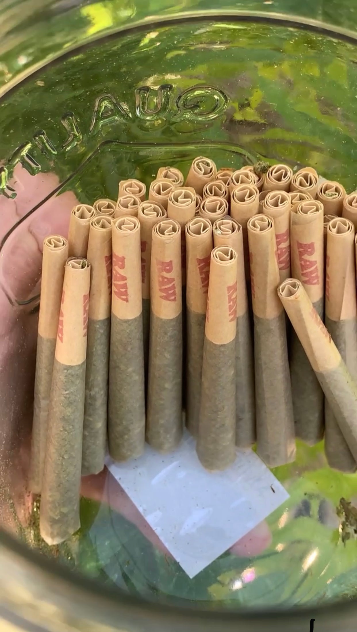 25 Pre-rolls INDOOR PREMIUM