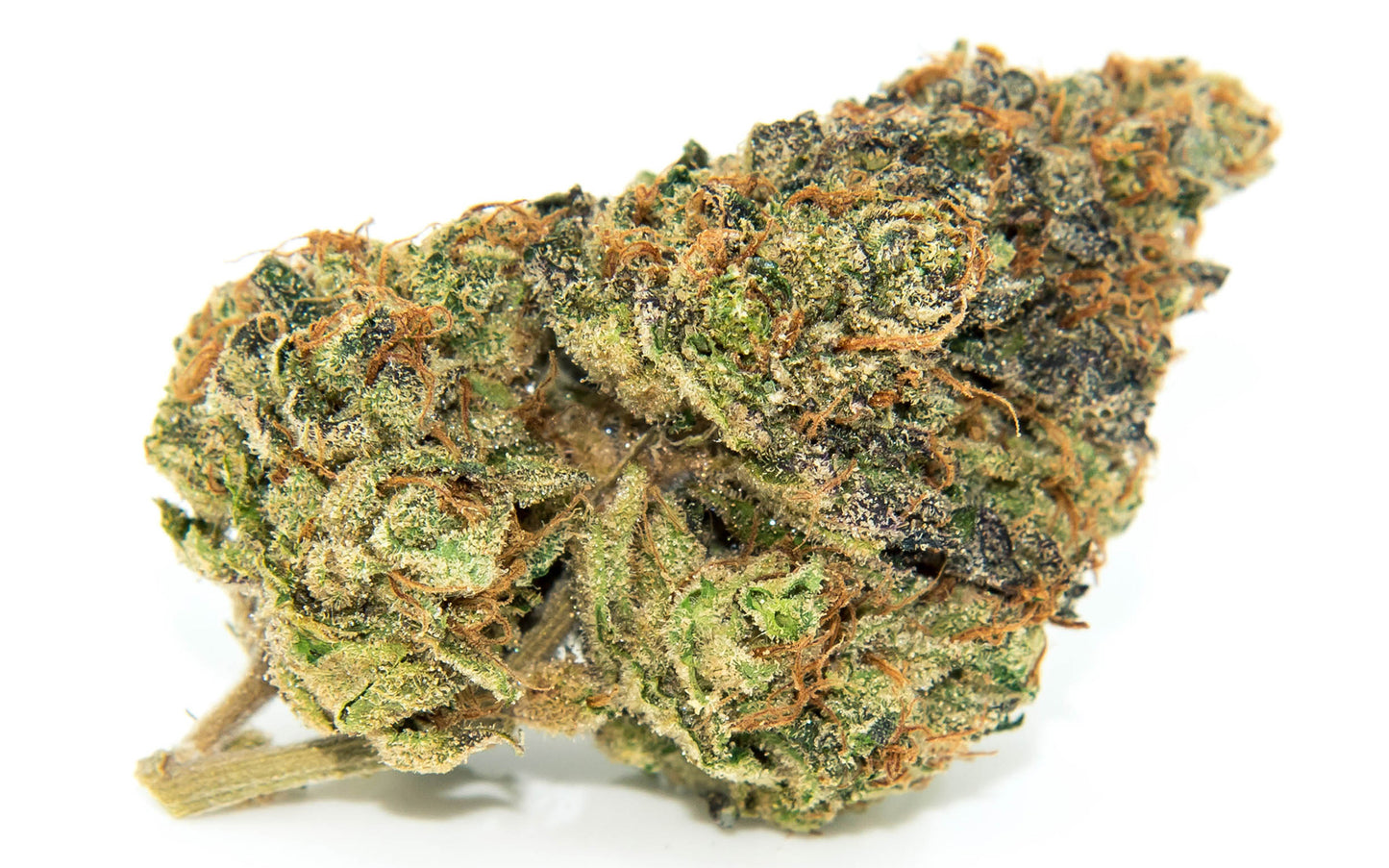 RAINBOW - Indoor