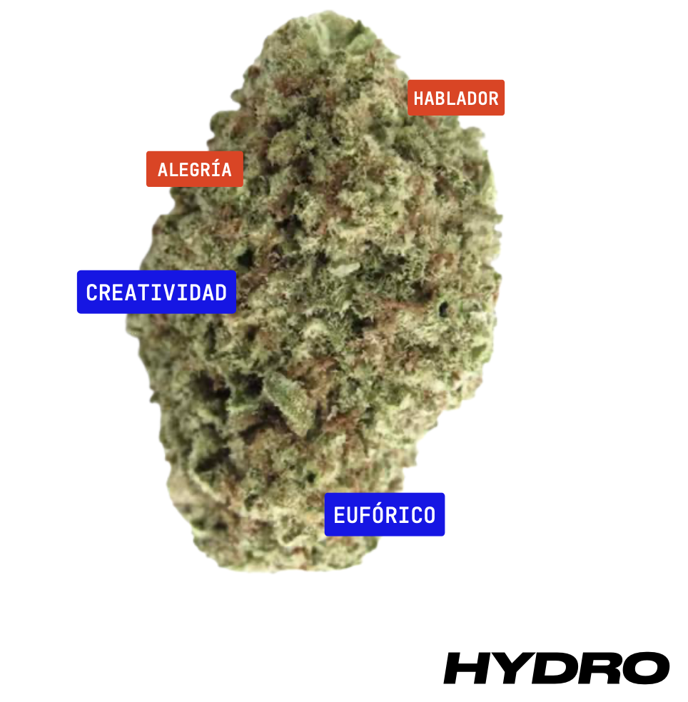 Cherry AK-47 - HYDRO