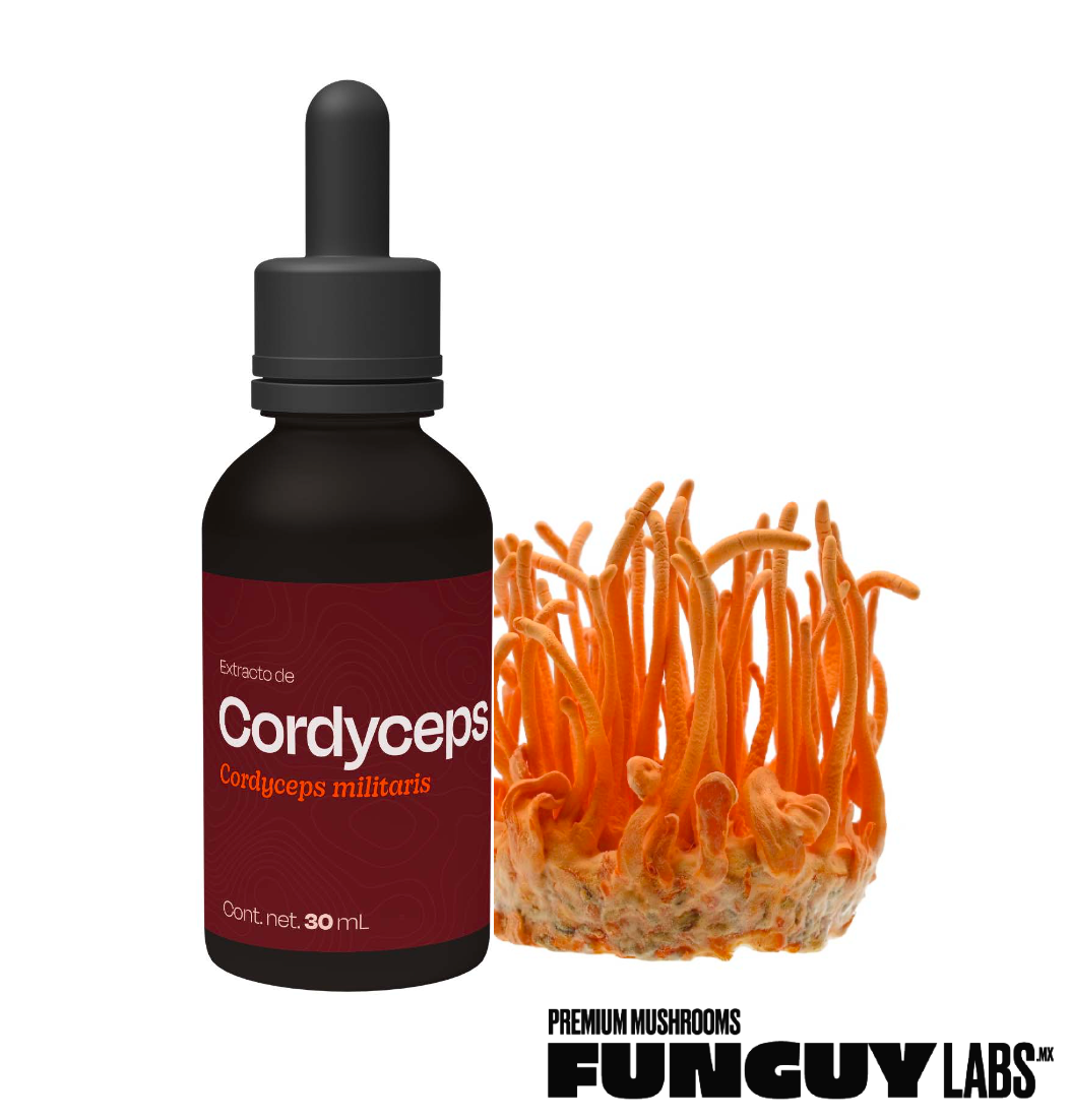 CORDYCEPS