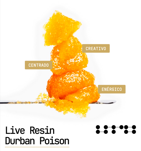 Live Resin Durban Poison